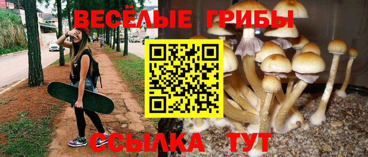 MDMA Краснознаменск