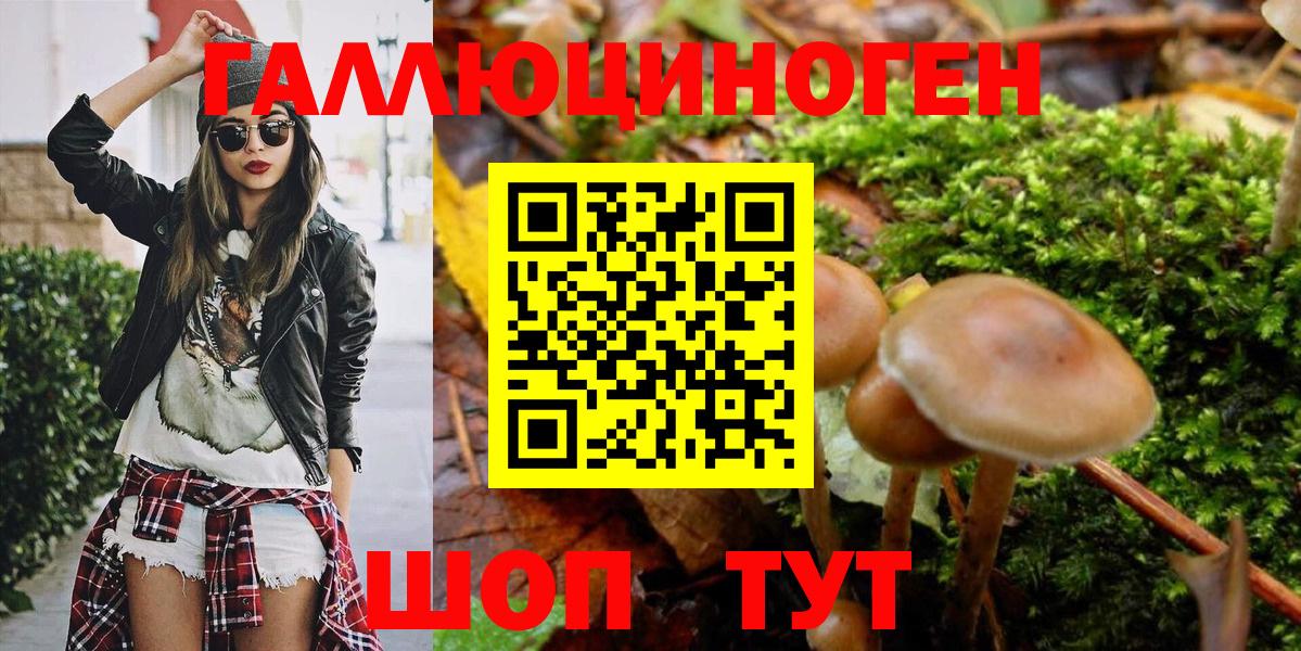 Псилоцибиновые грибы Magic Shrooms Краснознаменск