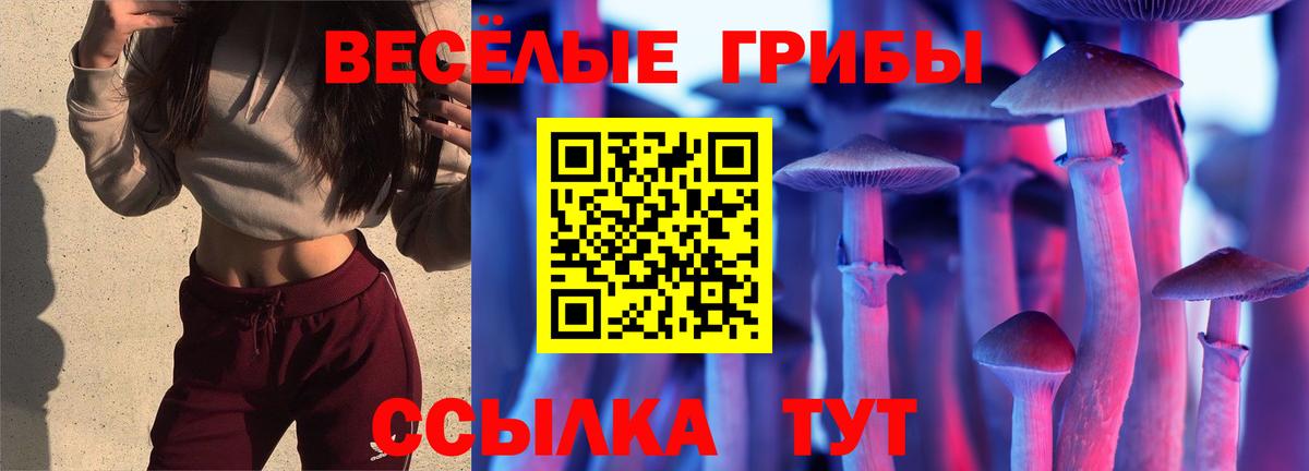 купить закладку  Вход с VPN  Краснознаменск  Псилоцибиновые грибы MAGIC MUSHROOMS 